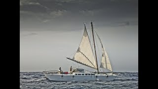 the wakataitea catamaran tiki46 [upl. by Avivah]