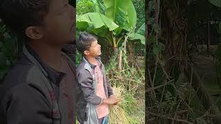 😂🤣foryou comedy comedyfilms funny viralvideo [upl. by Ennairda330]