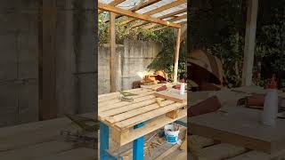 Costruzione tettoia Part 13 diy diycraft diycraftideas diyprojects faidate woodwork casa [upl. by Notslar59]