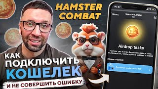 КАК ВЫВЕСТИ ДЕНЬГИ С HAMSTER KOMBAT — не совершай ошибку толпы Гайд для новичков [upl. by Ahsyen87]