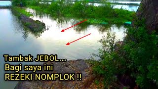 TAMBAK JEBOL Inilah yg dinamakan rezeki nomplok Mancing disampingnya panen ikan besarbesar [upl. by Cari66]