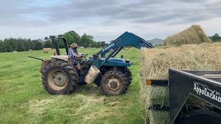 Moving pasture hay with Ford 4610 [upl. by Topping]