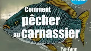 Comment pêcher au carnassier  Pêche et nature [upl. by Enirac]