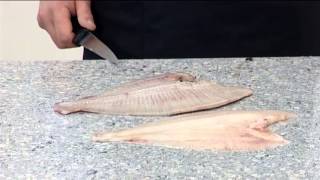 How to Crosscut Fillet a Plaice  412 [upl. by Nosirb]