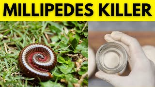 Kick Millipedes Out the Natural Way Tips and Tricks for Keeping Your Home and Garden Millipede Free [upl. by Ettenil]