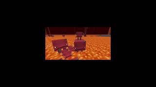 Love striders ❤️ minecraft pandacraft strider nether lava [upl. by Ardekahs205]