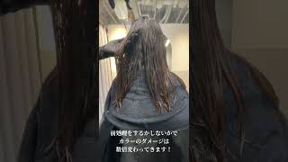 これ何色になるの！？🥺🥺正解は動画をご覧下さい！✨ヘアカラー ブリーチなし [upl. by Lebana915]