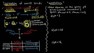 BIOCHEM 13  Amino Acid Ionization 1 [upl. by Evante]