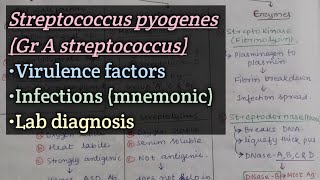 Streptococcuspart2 Group A streptococcus  Virulence factors  Clinical features  Lab diagnosis [upl. by Malachi480]