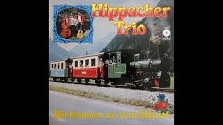 Hippacher Trio  SteinschlagPolka [upl. by Carmencita]