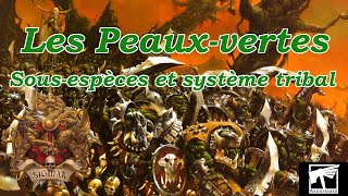 Les Peauxvertes  Sousespèces et Système tribal [upl. by Terina]