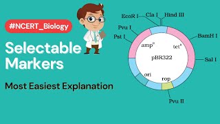 Biotechnology  Selectable Markers  Class 12th  Biogrades biotechnology neet2023 class12 [upl. by Zigrang63]