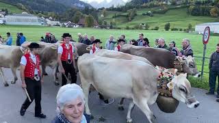 Nesslau Die grösste Viehschau der Schweiz [upl. by Simsar]