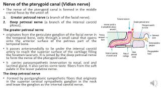 Anatomy of temporal and infratemporal region part 4 [upl. by Cressy]