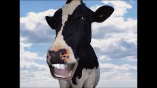 Vache qui chante [upl. by Clywd]