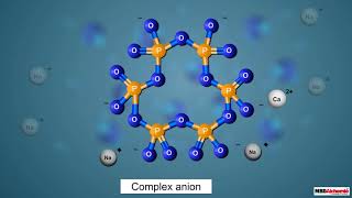 photophosphorylation and light reaction of photosynthesis [upl. by Oicnerual165]