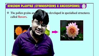 Angiosperm  NCERT बूटी  PlantKingdom NCERTCBSE✅ Plant Kingdom viralvideo tranding [upl. by Ulphiah]