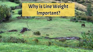 Why is Line Weight Important [upl. by Shevlo]