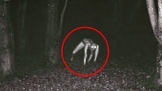 SCARIEST Camping Encounters Caught In Appalachian Mountains  SCARY COMP V26 [upl. by Atilrak777]