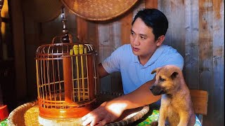 How to weave a handmade bamboo birdcage from an old discarded birdcage [upl. by Eillen25]