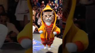 🐱Cats Bot No tapping All You Need is Telegram BE EARLY 🎉 better than DOGS catsvideo catsbot 👇👇 [upl. by Yelroc653]