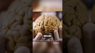 Man Survives Losing 90 of Brain facts brain viralshorts [upl. by Aihcsrop295]