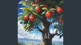 Medlar [upl. by Anilem77]