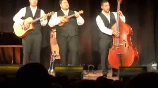 Sol3 Mio  Yellow Bird Live  City Recital Hall Sydney [upl. by Aremmat364]