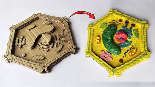 Cardboard Plant Cell Model  DIY Project [upl. by Akenaj103]