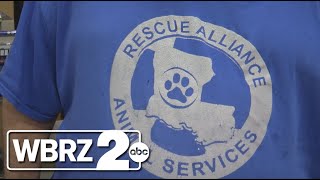 Rescue Alliance in need of donations for animal transport vehicle [upl. by Kowatch]