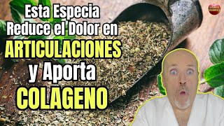 😱 ESTA ESPECIA REDUCE EL DOLOR EN LAS ARTICULACIONES Y APORTA COLAGENO 😱 [upl. by Eceined]