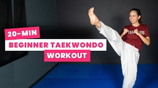 20min BEGINNER TAEKWONDO Workout At Home amp No Equipment [upl. by Bbor]