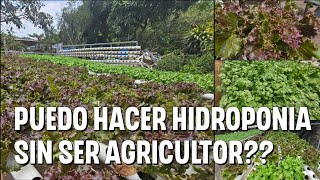 Como hacer hidroponia sin ser agricultor [upl. by Kyne462]