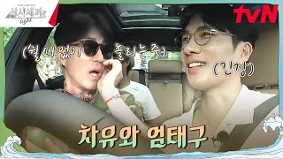 너는 어떻게 생각해 동생 놀리는 데 진심인 형들ㅋㅋㅋ 삼시세끼Light EP8  tvN 241108 방송 [upl. by Catriona]