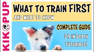 Puppy Training  What to train first [upl. by Aihseya]