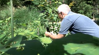 Becoming a Master Gardener and Naturalist Led to Big Things for a Man and his Garden [upl. by Orvil550]