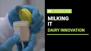 Milking It  innovation in the dairy industry  Landline  ABC News [upl. by Spears]