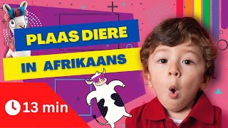 Plaasdiere kleuters lami afrikaans liedjies [upl. by Eldin568]