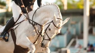 Horse Jumping Video  Symphony [upl. by Griselda560]