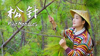 Lets make a pine needle feast in spring when new leaves and pine scent fill the air【滇西小哥】 [upl. by Rombert]