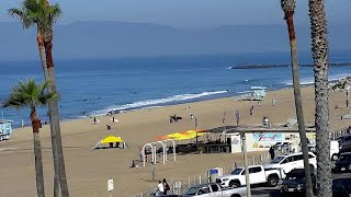 Live Hurricane Beach Webcam Destin Florida [upl. by Ycak]