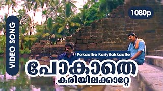 Pokathe Kariyilakkattee HD 1080p  Video Song  Mammootty  Rappakal [upl. by Yank]