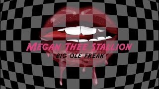 Megan Thee Stallion  Big Ole Freak Official Lyric Video [upl. by Aidualc]