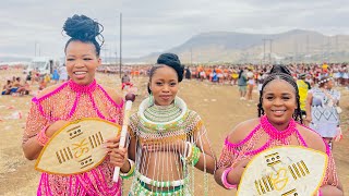 Royal reed dance day 1 Umkhosi womhlanga 2024 A Day in a life of a Zulu Maiden Vlog [upl. by Huxham]