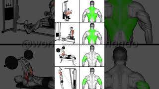 BACK AND TRICEP WORKOUT Build Strength and Definition Fast [upl. by Noryv]