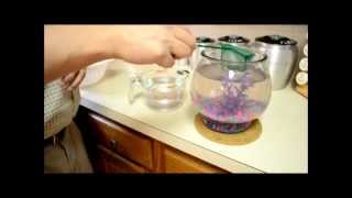 How To Clean A Fishbowl [upl. by O'Gowan149]