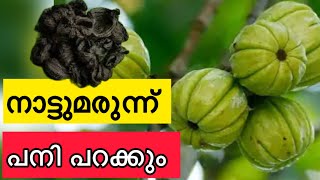 പനിമാറാനുള്ള ഒരു നാട്ടുവൈദ്യം Ayurvedic Remedy For Fever  fever home remedies malayalam [upl. by Darryl]