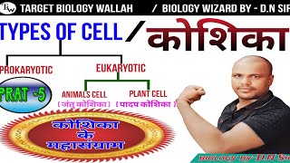 मानव कोशिकाHuman cellजंतु कोशिकाanimal cellपादप कोशिका plant cell cellbiology [upl. by Hayimas]