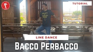 Bacco Perbacco  Line Dance Tutorial🤠 [upl. by Hainahpez]