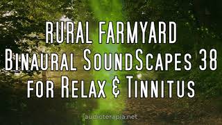 RURAL FARMYARD  Binaural SoundScapes §38 for Relax amp Tinnitus [upl. by Halyak]